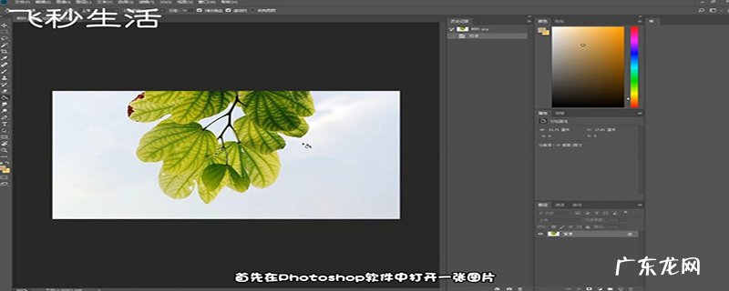 ps通道如何抠图