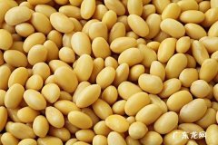 生活中常见的天然氮肥有哪些