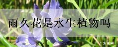 雨久花是水生植物吗