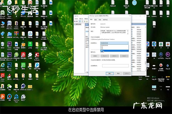 如何关闭win10自动更新