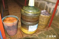 自制万能花肥要怎么做 需要哪些原料