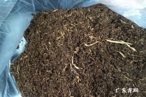 不花钱快速自制多肉土的方法有哪些