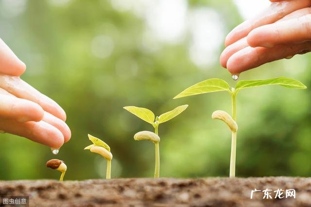 提升注意力的最好办法 有什么方法可以快速提升注意力
