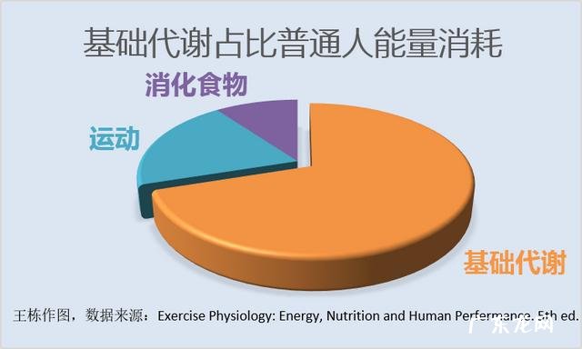 如何根据自己的身高体重计算自己的基础代谢?