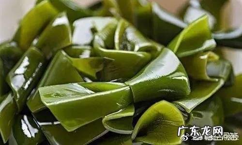 粥教瘦:夏季5款减肥瘦身的养生食谱你知道吗