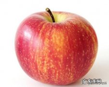 早餐只吃一个苹果会减肥，这是真的吗有科学解释吗