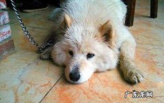 细微的危险期有多长时间，有哪些症状？