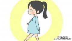 孕晚期体重会长的很快吗？
