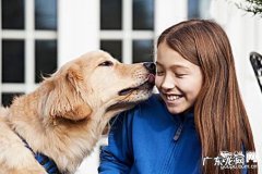 狗狗打疫苗主要是以便防止什么病症？