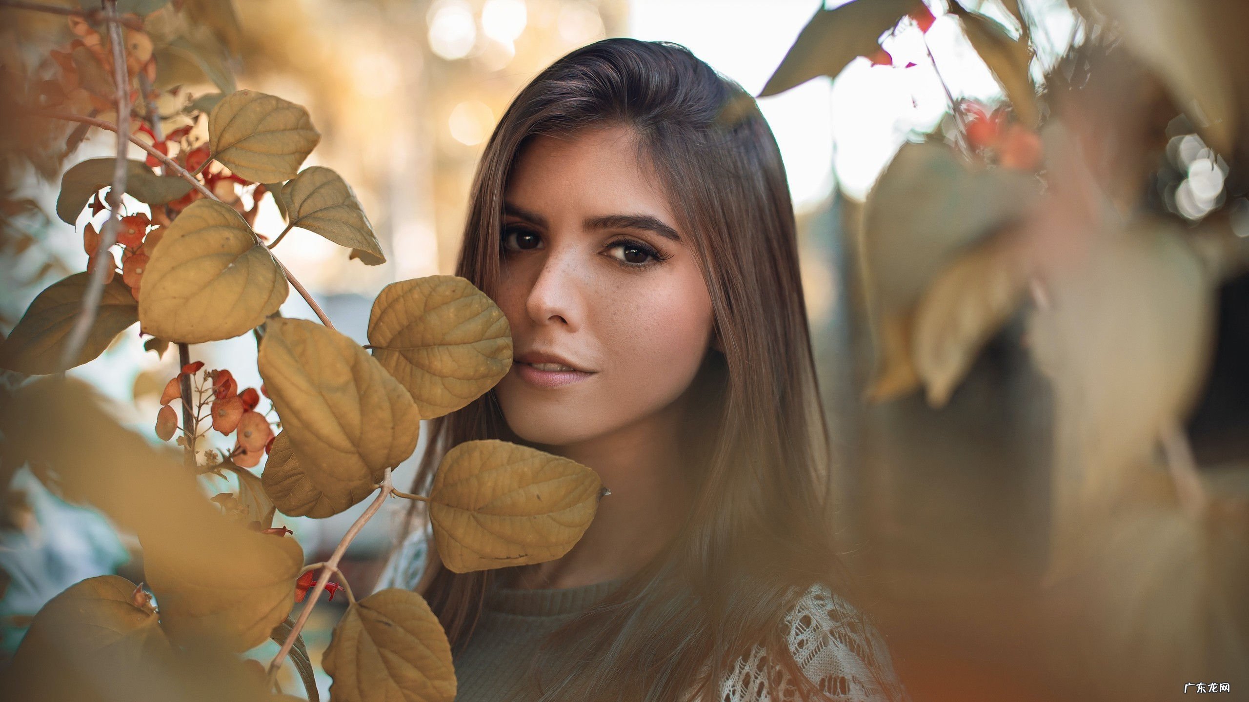 瑜伽平躺的姿势叫什么 基本的瑜伽瘦身操姿势是什么呢?