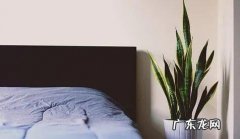 正确睡眠知识大全 睡眠健康小知识大全