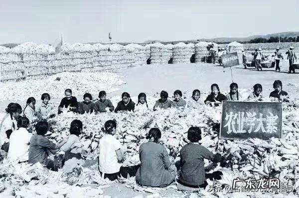 你还记得上世纪七十年代农村流行过哪些顺口溜