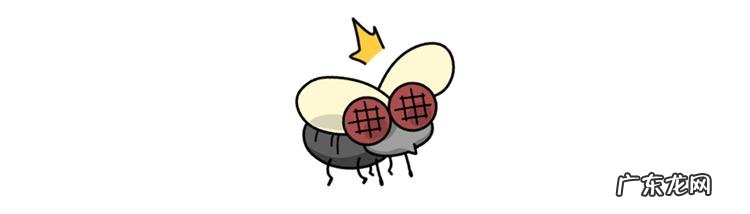 睡醒总感觉好累 怎么睡醒了感觉特别累