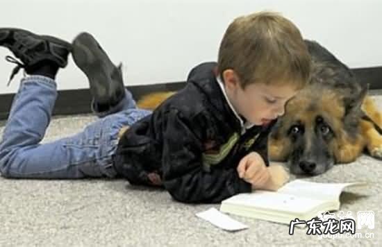 犬蠕形螨病病症、确诊及治疗方法