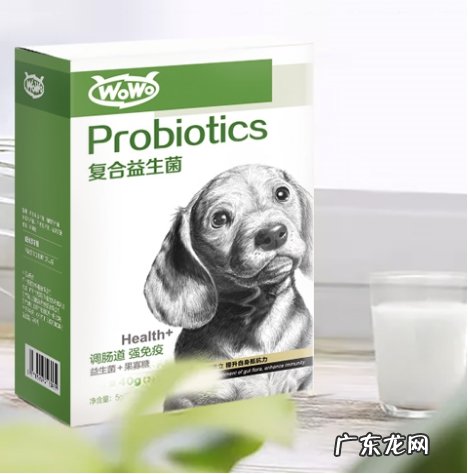狗狗拉肚子吃什么中药,狗狗益生菌当做肠道菌群助手