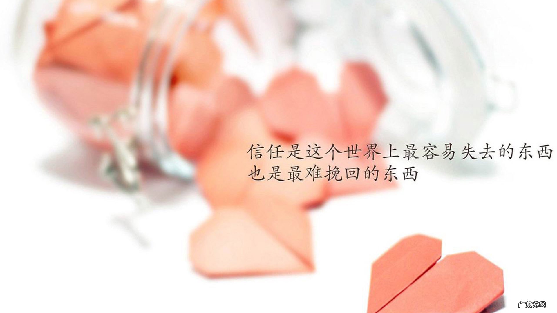 豆浆机果蔬减肥食谱:九阳豆浆机如何做蔬菜浓汤?