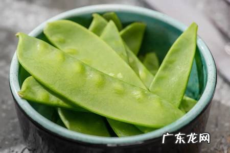 春季祛湿饮食推荐