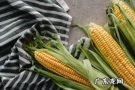 春季祛湿饮食推荐