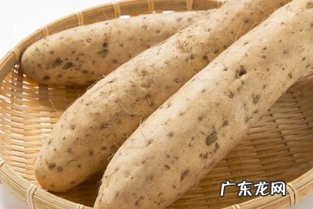 春季祛湿饮食推荐