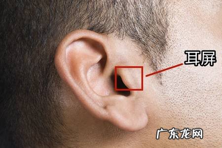 掏耳朵上瘾？耳朵真的需要掏吗？