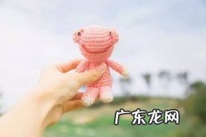 寄生虫的危害及预防