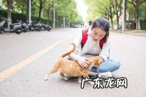 寄生虫的危害及预防