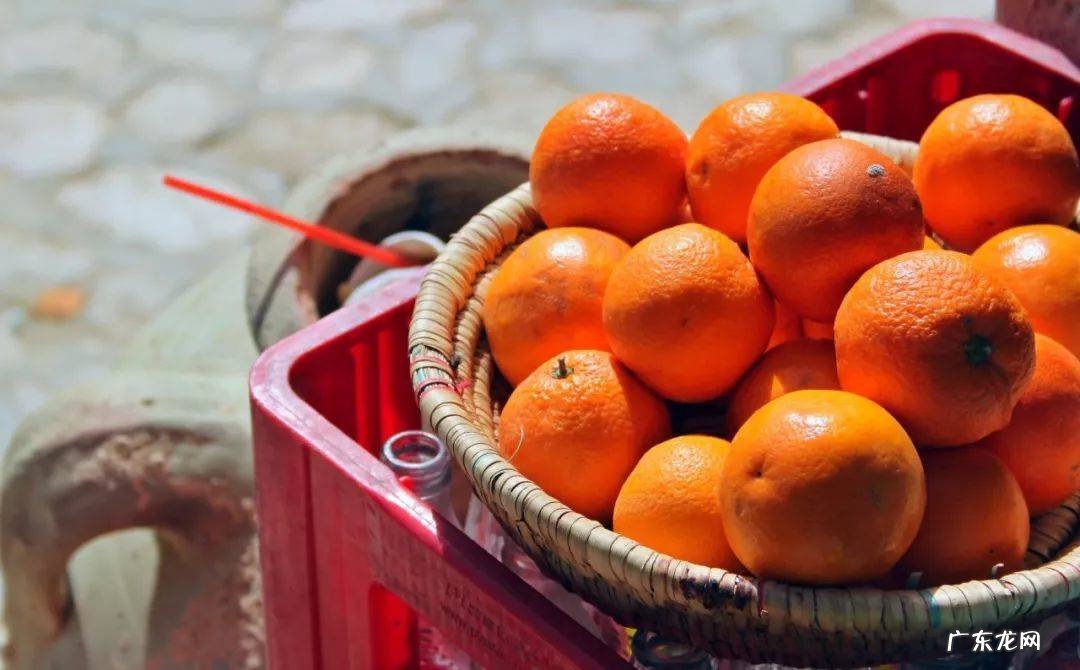 有靠谱的清肺食物吗?