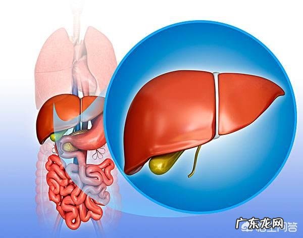 除了物质,人是靠着什么活下来的?