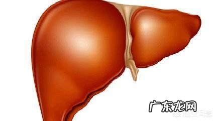 除了物质,人是靠着什么活下来的?