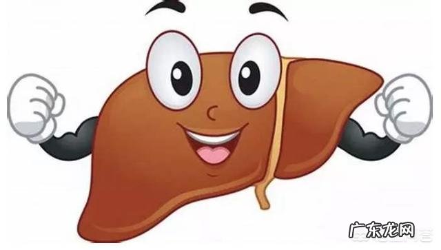 除了物质,人是靠着什么活下来的?