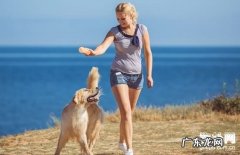 【小狗念珠菌性皮肤病症状】犬念珠菌性皮肤疾病缘故|确诊|防止及治疗方法