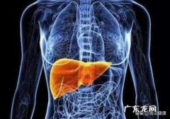 春季饮食养肝应选哪些食物