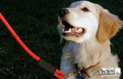 【脊神经蛛网膜囊肿病症】缘故|确诊|防止及治疗方法