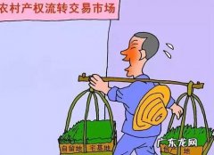 农村土地流转新政策什么时候开始 农村土地流转新政策