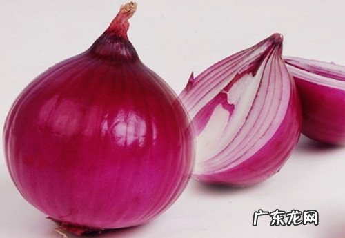 九月份的金毛狗狗狗狗拉稀二天了应该怎么办