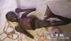 十大不明生物大好人 十大不明生物