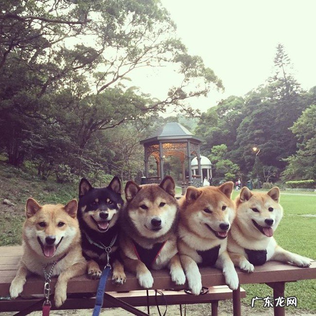 什么叫 核保?保险公司对有些险种可以单独核保?