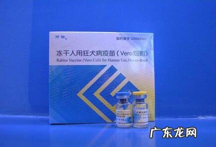 狂犬病疫苗要多少钱一针?注入狂犬病疫苗的常见问题