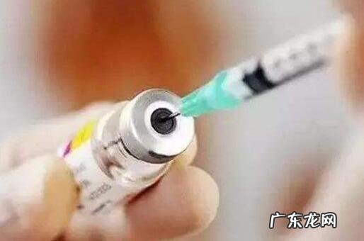 狂犬病疫苗要多少钱一针?注入狂犬病疫苗的常见问题