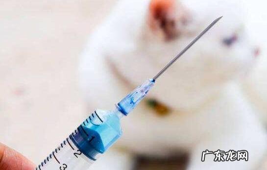 狂犬病疫苗要多少钱一针?注入狂犬病疫苗的常见问题