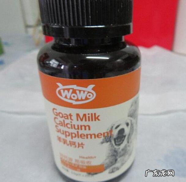 小狗有这几类缺钙的表现,要立即改进