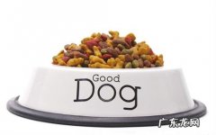 金毛胃口越差不要吃物品，金毛不要吃物品应该怎么办