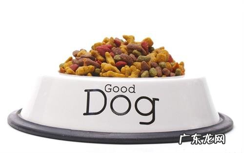 金毛胃口越差不要吃物品,金毛不要吃物品应该怎么办