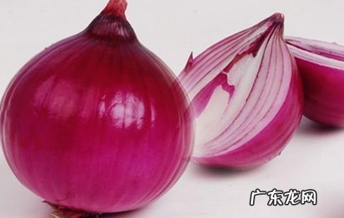 比熊又吐又拉四天要去宠物诊所吗