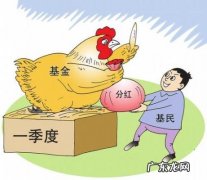 基金分红是现金分红好还是红利再投资好 基金分红
