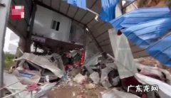 云南象群事件 云南群体事件