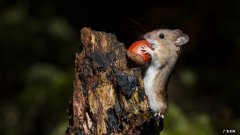 两岁7个月宝宝身高体重标准