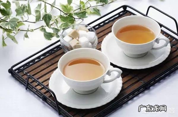 想戒掉肥宅快乐水,求推荐替代品,最好是网上能买到的