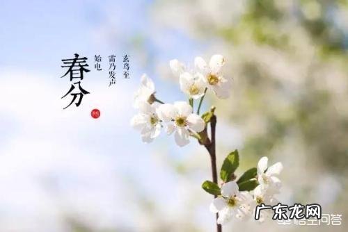 什么食物既能保肝护肝,又能防止肝脏被伤害呢