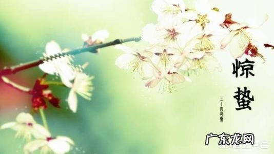 什么食物既能保肝护肝,又能防止肝脏被伤害呢